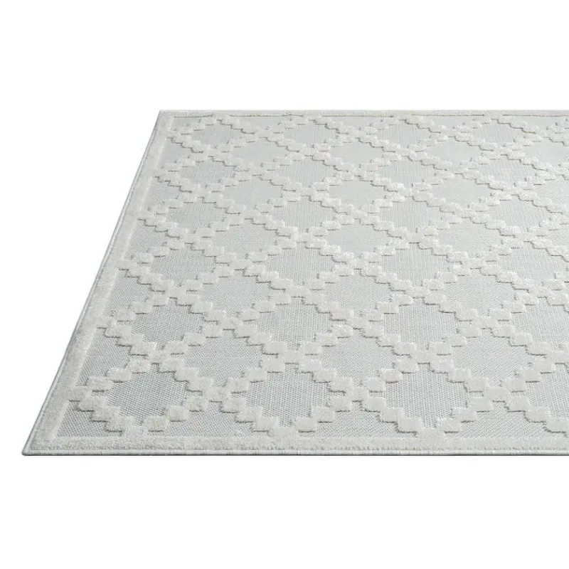 Indoor or Outdoor Rug - 8 x 10