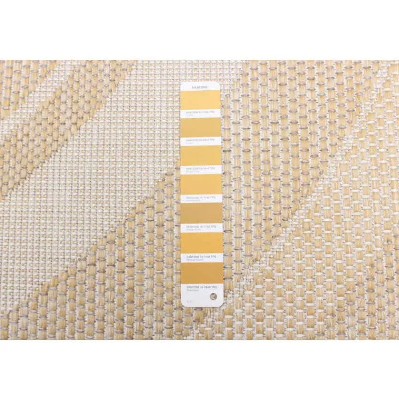 Indoor or Outdoor Rug - 5 x 7