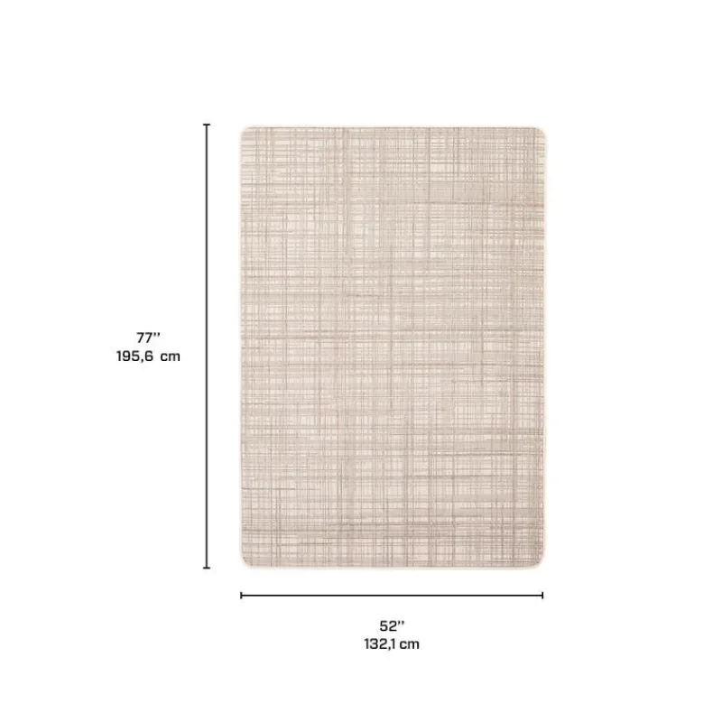 Indoor or Outdoor Rug - 4 x 6