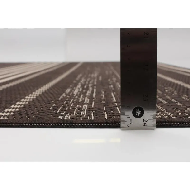 Indoor or Outdoor Rug - 4 x 6