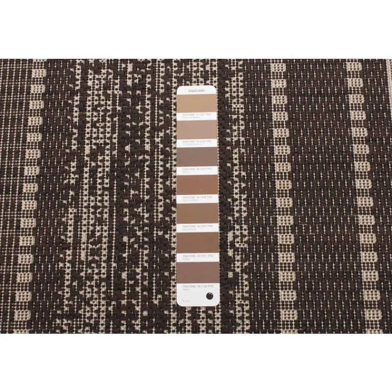 Indoor or Outdoor Rug - 4 x 6