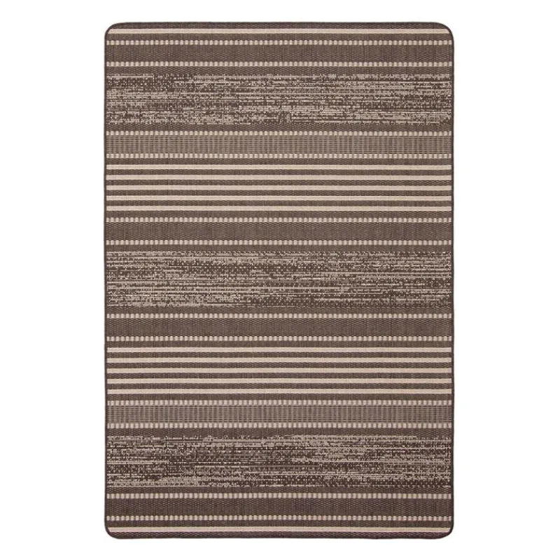 Indoor or Outdoor Rug - 4 x 6