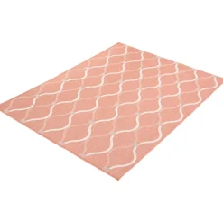 Indoor or Outdoor Rug - 5 x 7