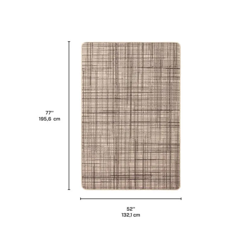 Indoor or Outdoor Rug - 4 x 6