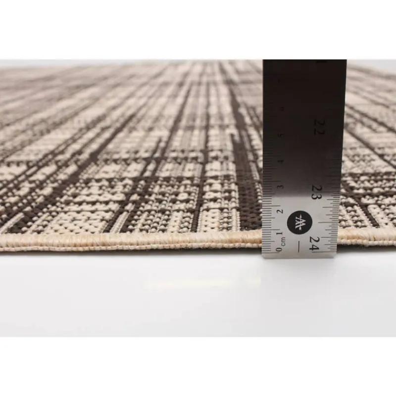 Indoor or Outdoor Rug - 4 x 6
