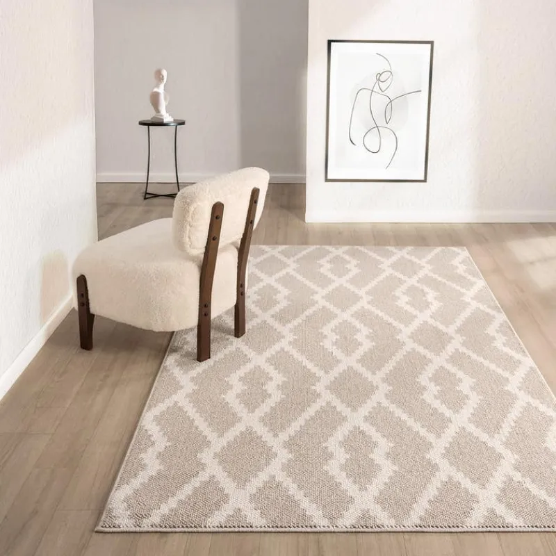 Indoor Rug - 5 x 8