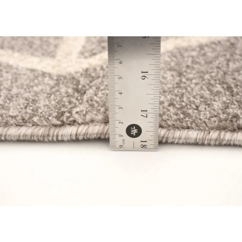 Indoor Rug - 4 x 6