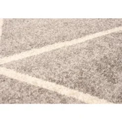 Indoor Rug - 4 x 6