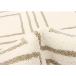 Indoor Rug - 8 x 10
