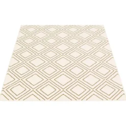 Indoor Rug - 8 x 10