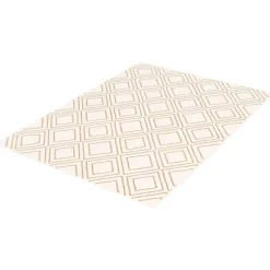 Indoor Rug - 8 x 10