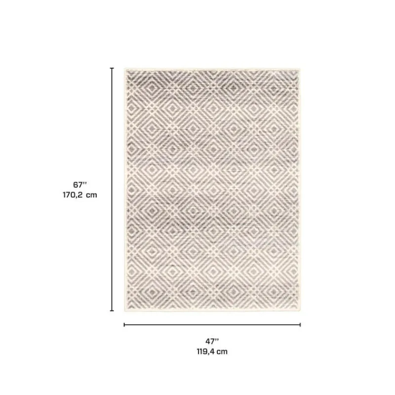 Indoor Rug - 4 x 6