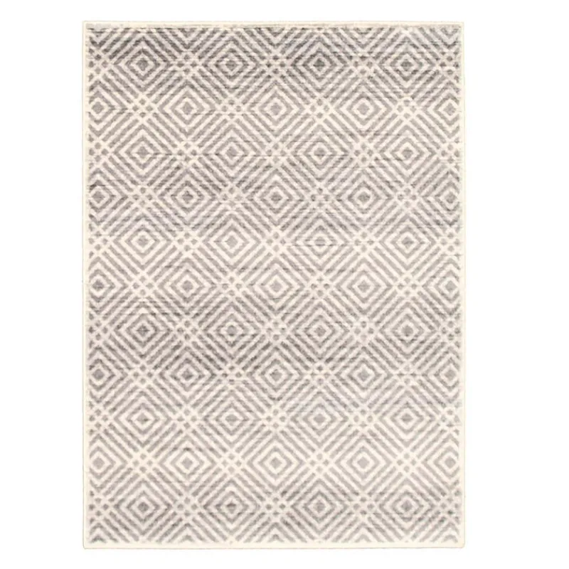 Indoor Rug - 4 x 6