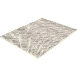 Indoor Rug - 4 x 6