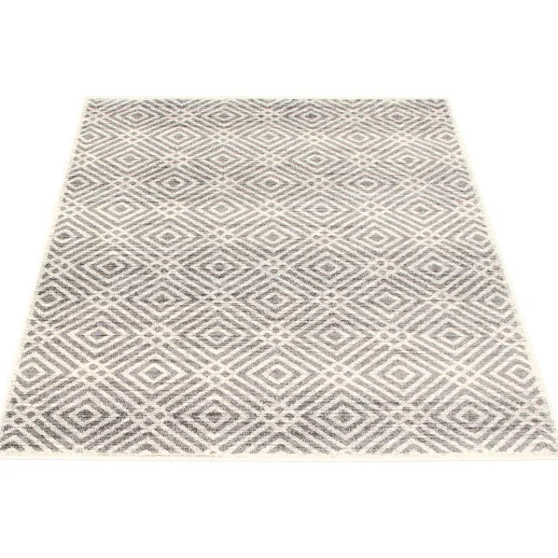 Indoor Rug - 4 x 6