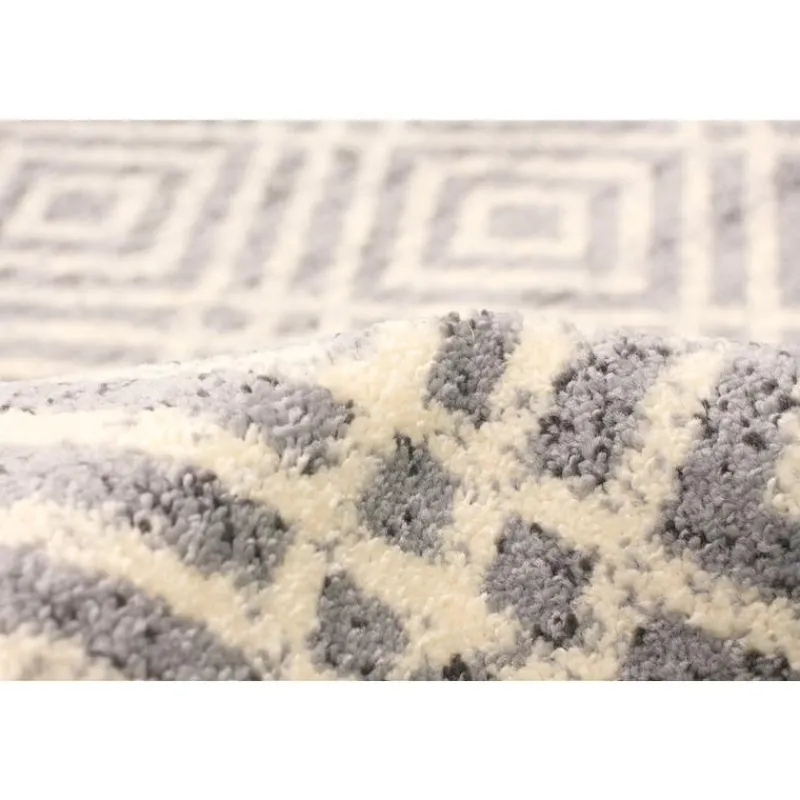 Indoor Rug - 4 x 6