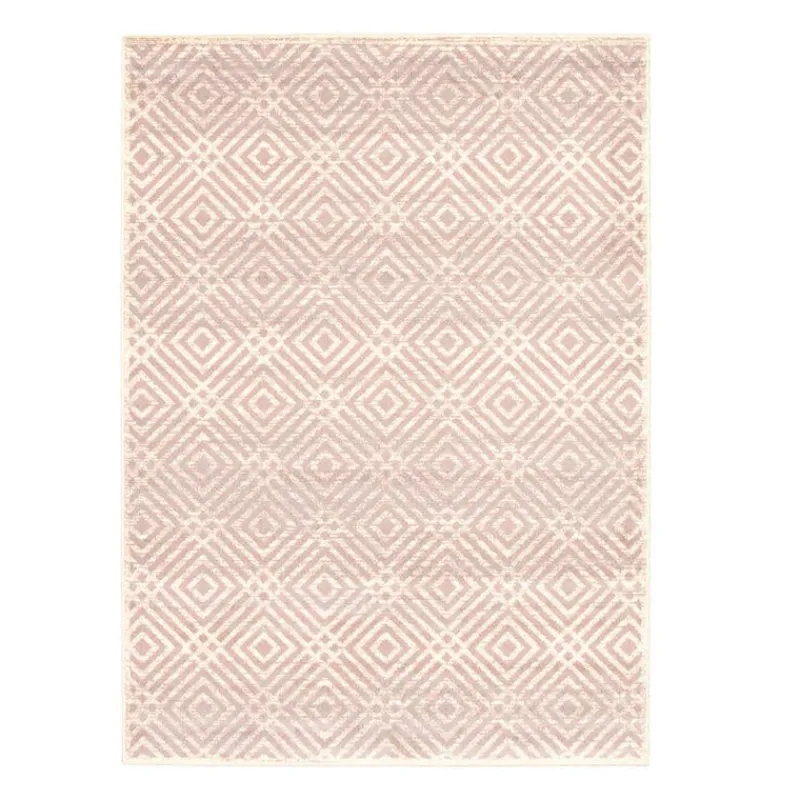 Indoor Rug - 4 x 6