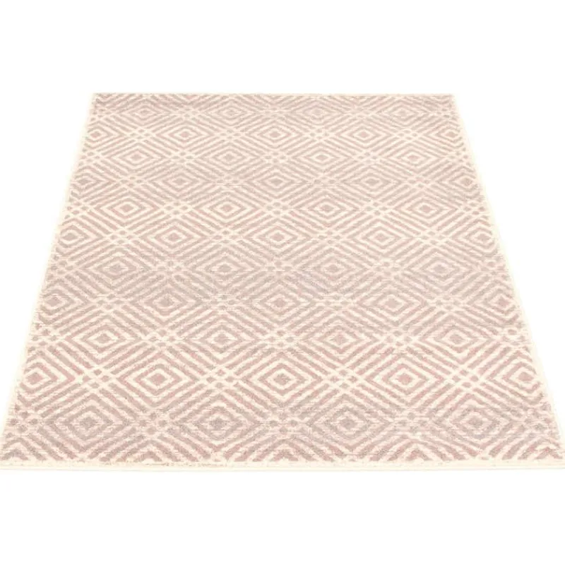 Indoor Rug - 4 x 6