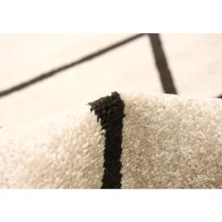 Indoor Rug - 8 x 10