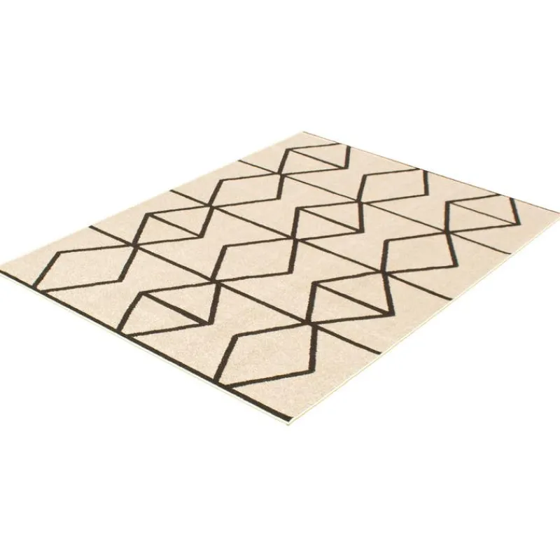 Indoor Rug - 8 x 10