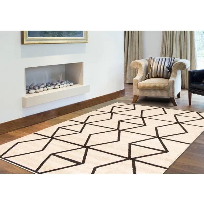 Indoor Rug - 8 x 10