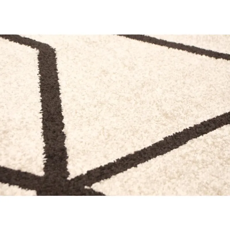 Indoor Rug - 8 x 10