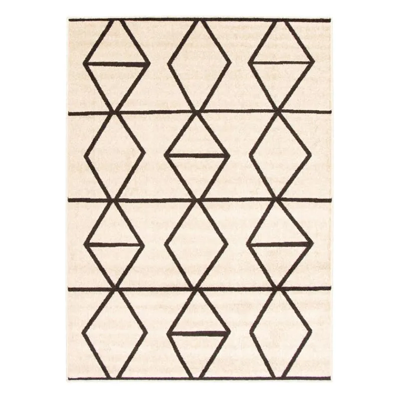 Indoor Rug - 8 x 10