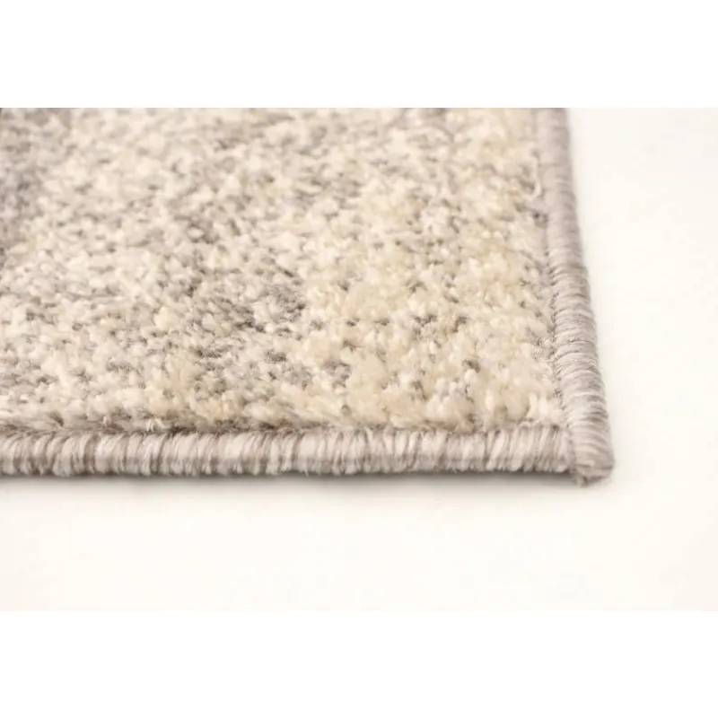 Indoor Rug - 4 x 6