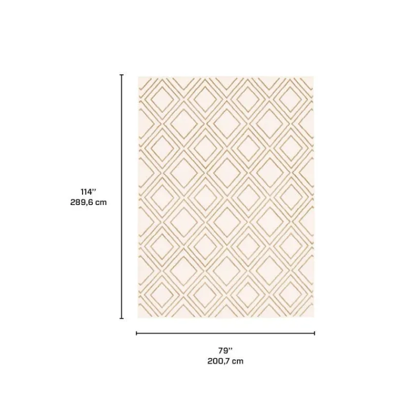 Indoor Rug - 7 x 10