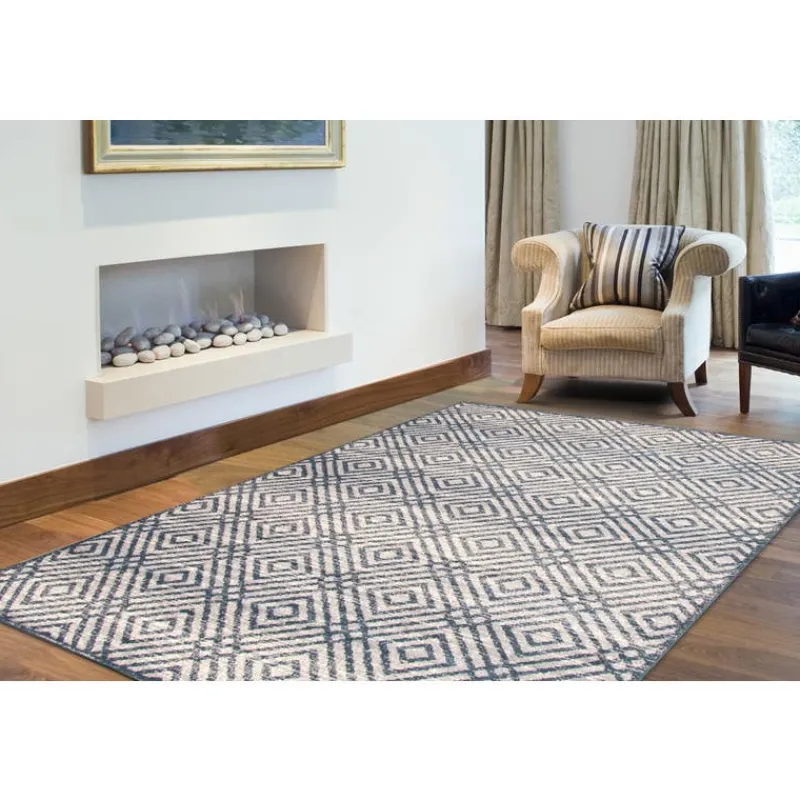Indoor Rug - 4 x 6