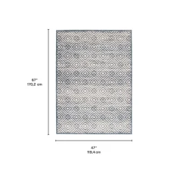Indoor Rug - 4 x 6