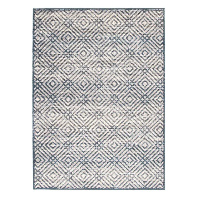 Indoor Rug - 4 x 6
