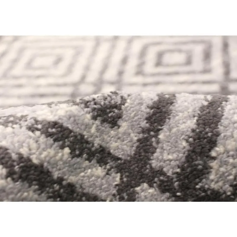 Indoor Rug - 4 x 6