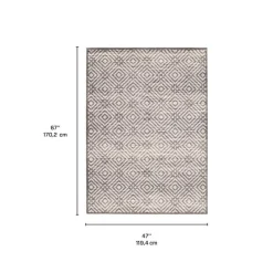Indoor Rug - 4 x 6
