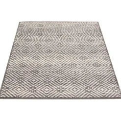 Indoor Rug - 4 x 6