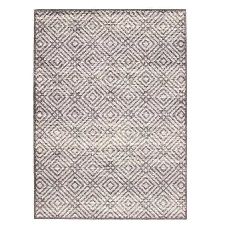 Indoor Rug - 4 x 6