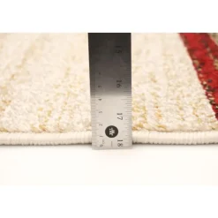 Indoor Rug - 4 x 6