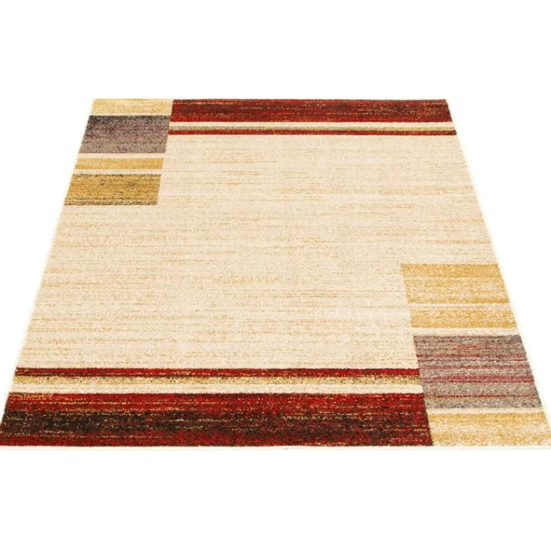 Indoor Rug - 4 x 6