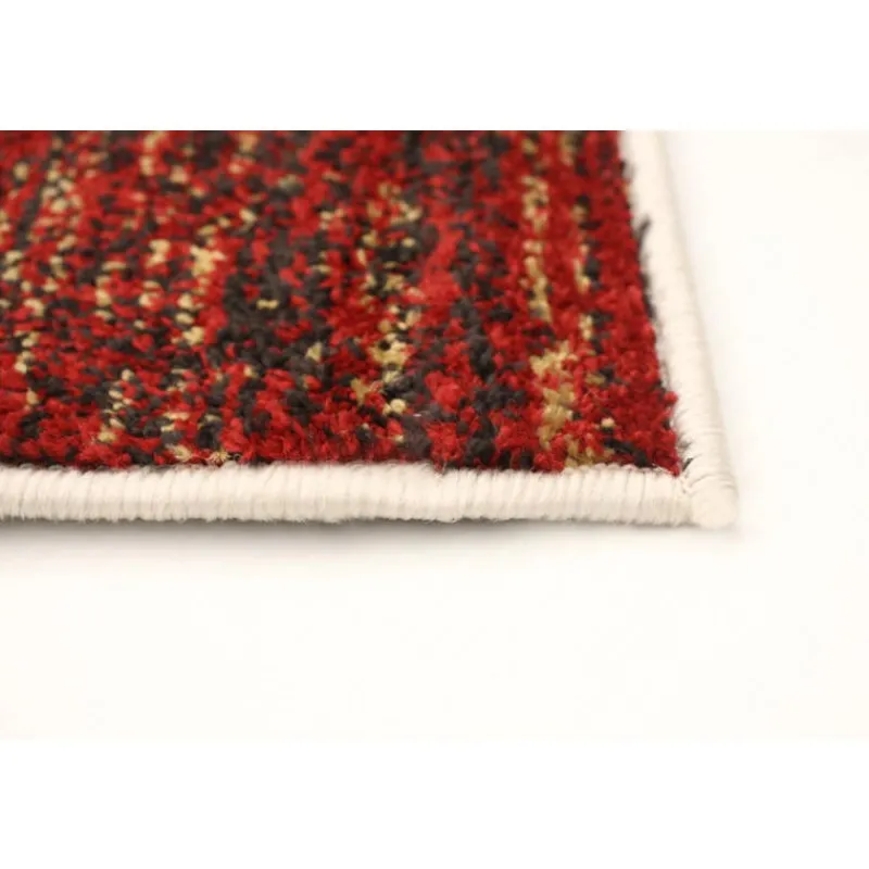 Indoor Rug - 4 x 6