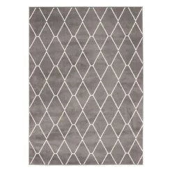 Indoor Rug - 5 x 7