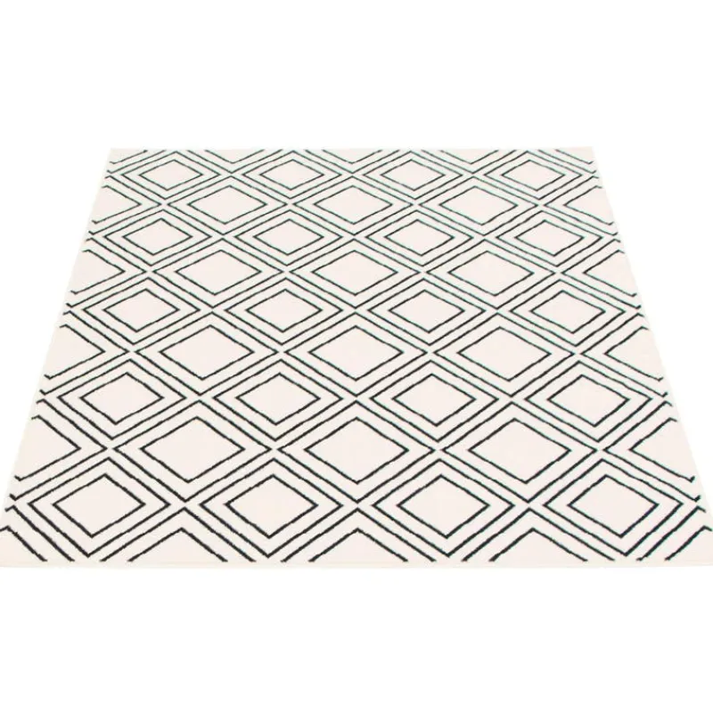 Indoor Rug - 7 x 10