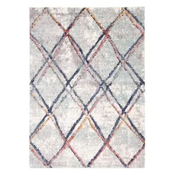 Indoor Rug - 8 x 10