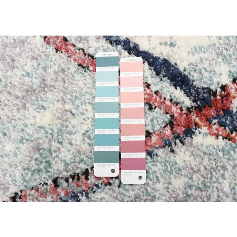 Indoor Rug - 8 x 10