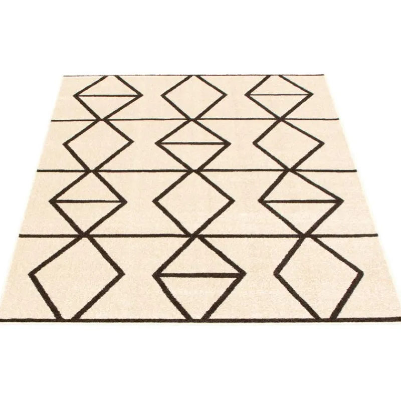 Indoor Rug - 4 x 6