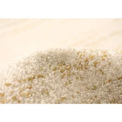 Indoor Rug - 5 x 7