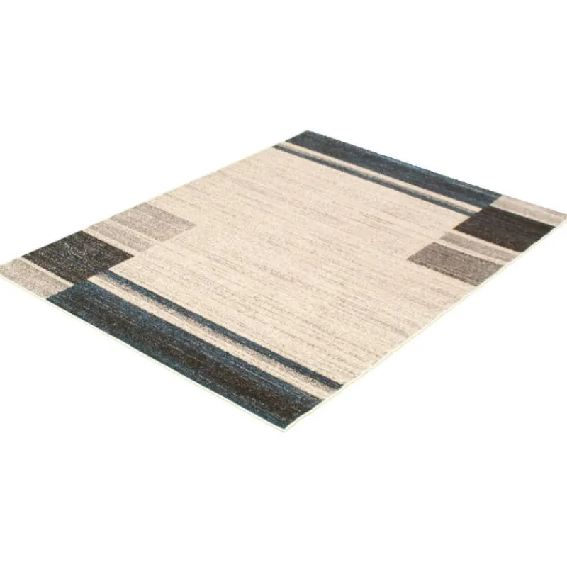 Indoor Rug - 4 x 6