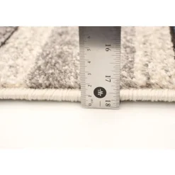 Indoor Rug - 4 x 6