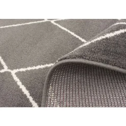 Indoor Rug - 8 x 10