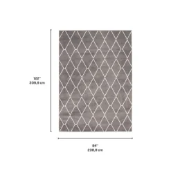 Indoor Rug - 8 x 10