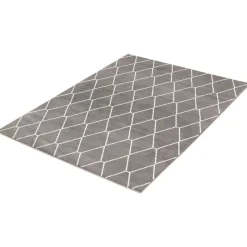Indoor Rug - 8 x 10